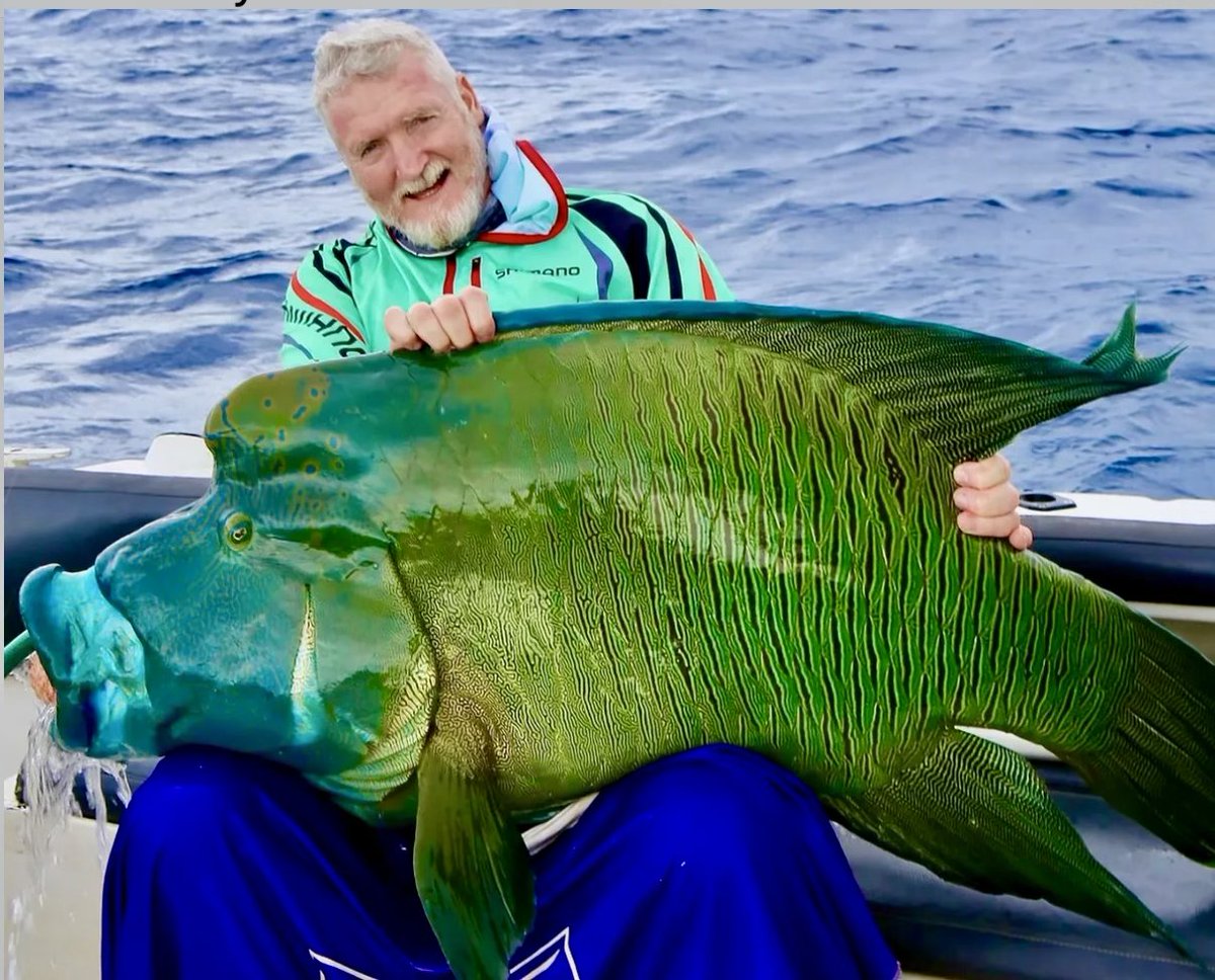 WFN's tweet photo. "Ancient reefs. Untamed coastlines. Monster fish." - @gofishmagsa 

#TheReelLife https://t.co/JWrZsvdhtA
