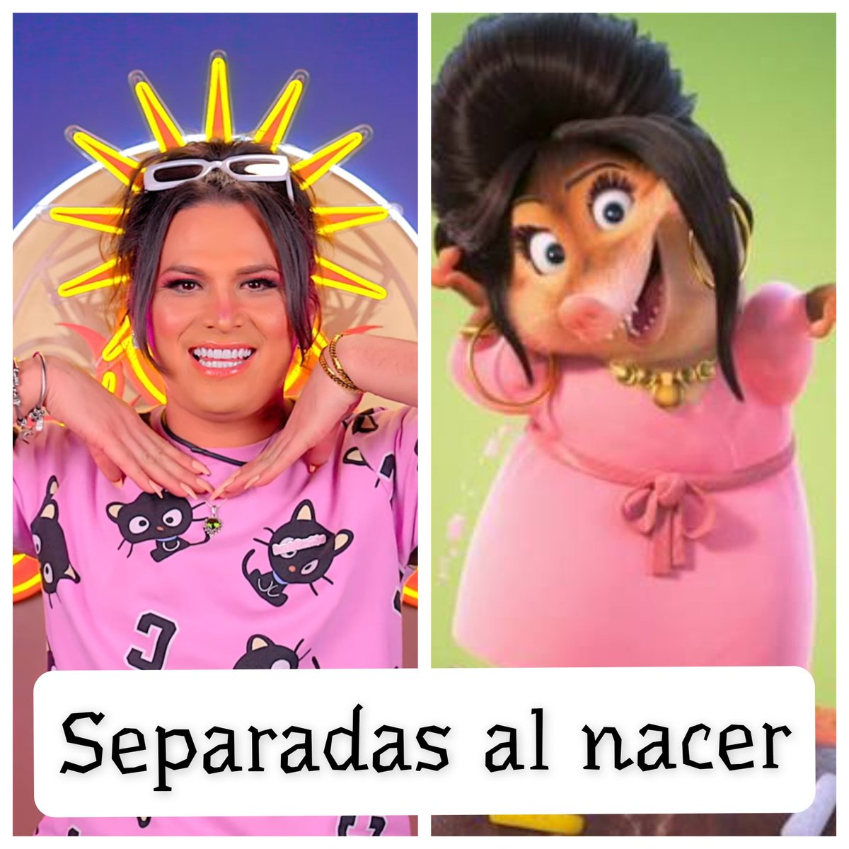 EyesAlvaro's tweet photo. @lmd_memes @Lamasdraga https://t.co/kjCjYkihFa