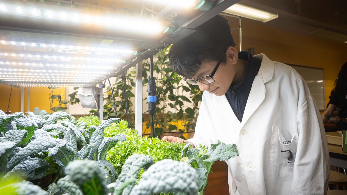 NYsunworks's tweet photo. Students in NY Senate District 34 are learning about climate science and sustainable agriculture thanks to support from @senfernandez34! We're lucky to have legislators that continue to bring new experiences and hands-on learning to the classroom. https://t.co/mxa4NUbqwy