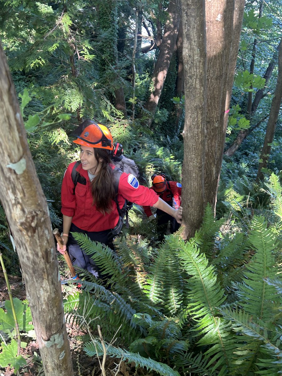 MetroVancouver's tweet photo. A fire at Pacific Spirit Regional Park this morning has been extinguished. Acadia Beach &amp; Trail 3 are closed during mop-up work, assess hazardous trees &amp; monitor for reignition. Thanks to the public for staying clear. https://t.co/Sci0U4v5tR