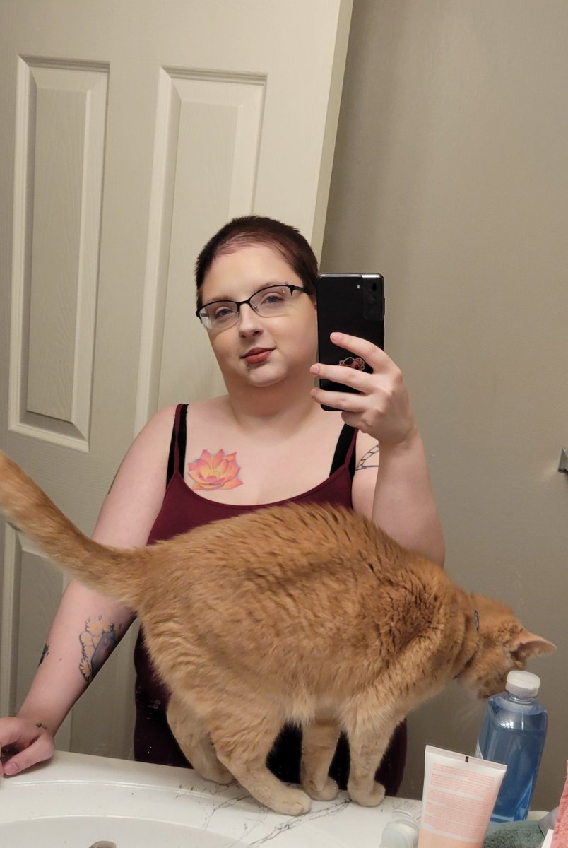 gingerbabby's tweet photo. This clingy little orange that thinks he's my boyfriend is part of the reason nobody will be enough for me. My little cuddle bug is just too in tune with what I need https://t.co/CtoiSPwjKC