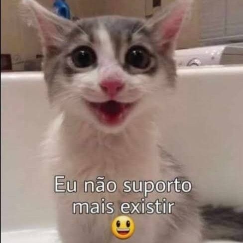 Frases em baixa qualidade tweet media