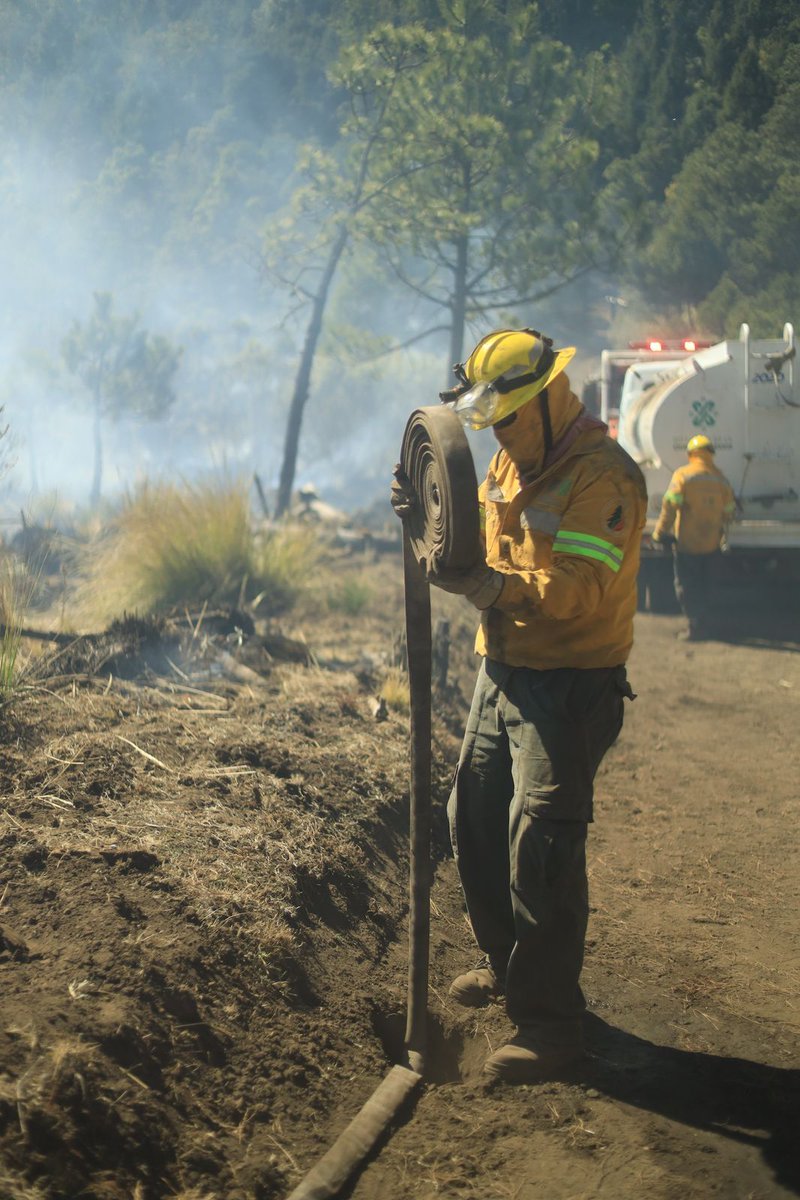 corenadr's tweet photo. 🔥🌲¿Sabías que el 100% de los incendios forestales en la CDMX son causados por actividades humanas?
Las y los brigadastas de la #Corenadr están listos para actuar 24/7.
¡Si ves un incendio forestal, ¡repórtalo de inmediato!
📞55 4317 7114 y 55 56440471 https://t.co/UwlV7tYRbG