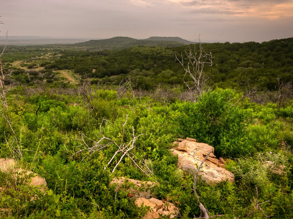 nature_tx's tweet photo. 🥾 Have you been out to the newly opened Palo Pinto Mountains State Park or are you planning a trip this summer? Finding the perfect parkland all began with a multi-year hunt by TNC staff: https://t.co/OxEUv61ydF

Photos: © Texas Parks and Wildlife Department https://t.co/Ik168ctKw9