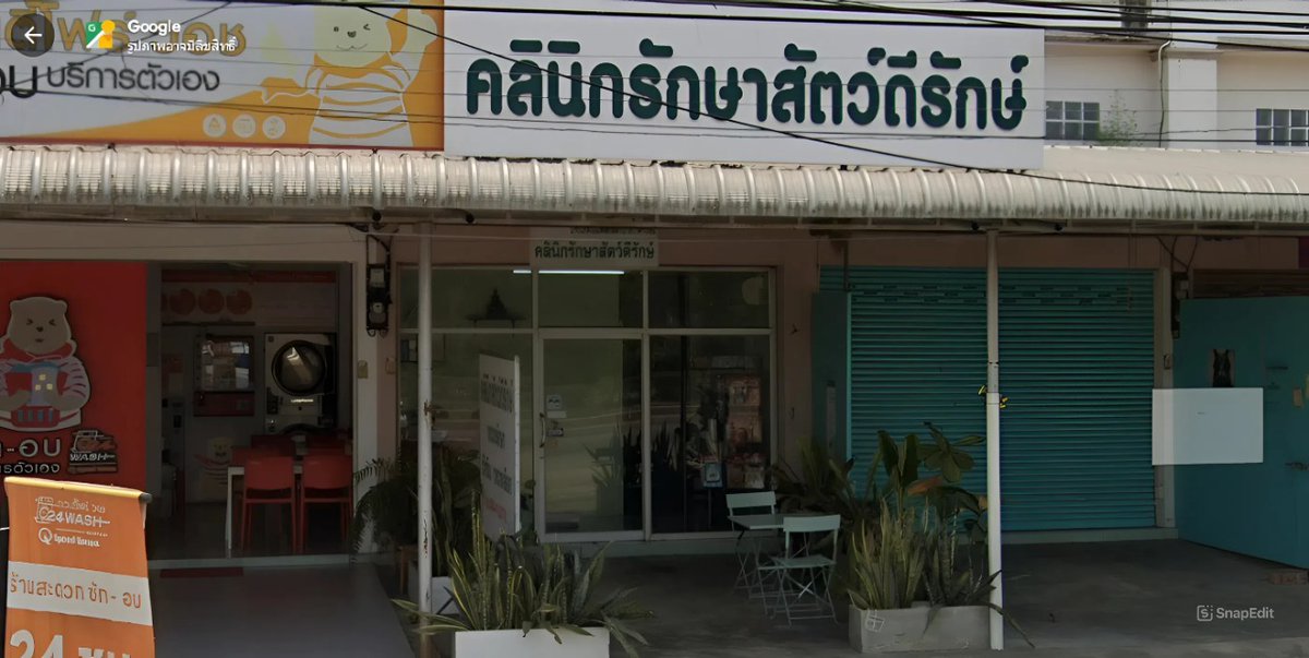 samunchon_'s tweet photo. #คลินิกรักษาสัตว์ดีรักษ์ [สมัย]
ตำบลรั้วใหญ่ อำเภอเมืองสุพรรณบุรี[ศรี] 
สุพรรณบุรี 72000[มากมี]
เหยี่ยว อินทรี แม้ว สุนัข ครบขั้นตอน
https://t.co/QIAhCyNleK
สัตวแพทย์หญิง เวชสิริ วรรณประสาท
สัตวแพทยสาธารณสุขศาสตร์[รับการสอน]
วิทยาศาสตรมหาบัณฑิต[ไฟแรงร้อน]
จากจุฬาลงกรณ์มหาวิทยาลัย https://t.co/6omVyDNEKu