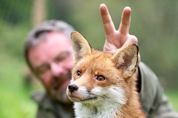 Worlda_Animals's tweet photo. https://t.co/q9ai8L7VZ4