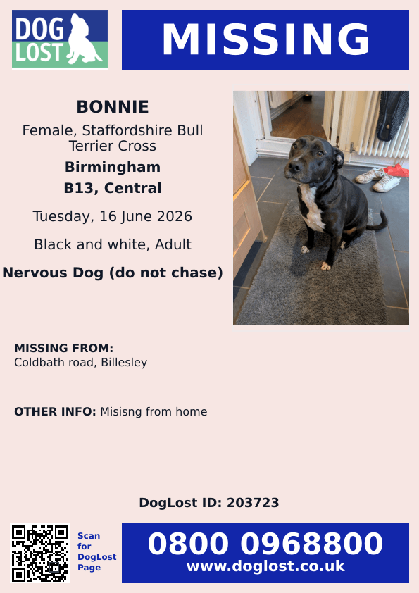 millypod1's tweet photo. 🆘16 JUNE 2026 #Lost Bonnie #ScanMe
NERVOUS Staffordshire Bull Terrier Cross Female
Coldbath Road #Billesley #Birmingham #WestMidlands #B13
https://t.co/ZHxkbKci92 https://t.co/YJXIwf33zA