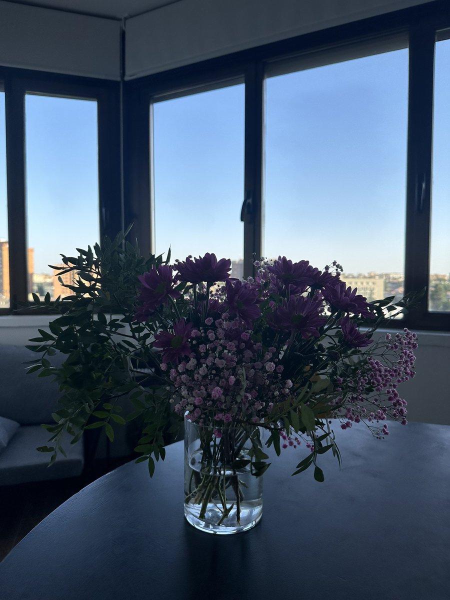 lrpmontojo's tweet photo. Hoy me han regalado flores 💐 https://t.co/VHL9kVnENw