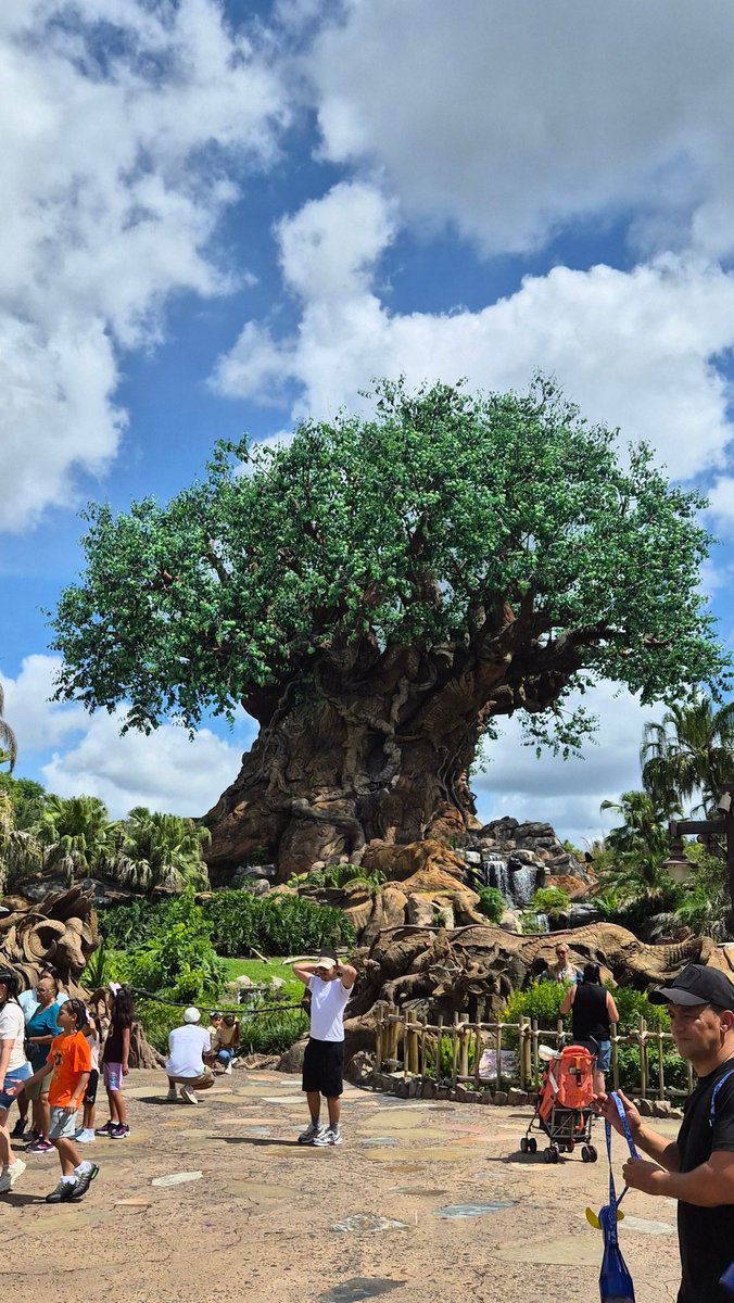 phcaptjim's tweet photo. Celebrating my son's HS Graduation at Disney. Lots of fun across the parks! #graduation2026 @WaltDisneyWorld https://t.co/MkcCw7lVmI