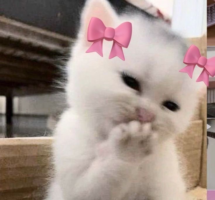 Mitchelsdv's tweet photo. Estou amando e me sinto maravilhosa https://t.co/cWat2N9Mgn