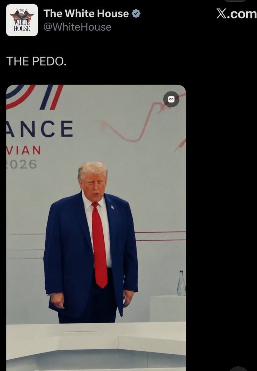 Political Punk tweet media