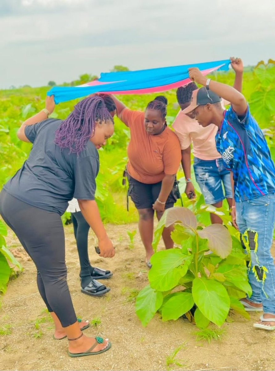 queerkids72's tweet photo. Trans refugees in South Sudan stand together holding the trans flag with pride and dignity this Pride Month. Even through hardship, we remain strong, visible and proud of who we are. Every trans life deserves safety, love, and hope. 🏳️‍⚧️🏳️‍⚧️

Happy pride month 🏳️‍⚧️🏳️‍⚧️ https://t.co/IcEl0oIGpA