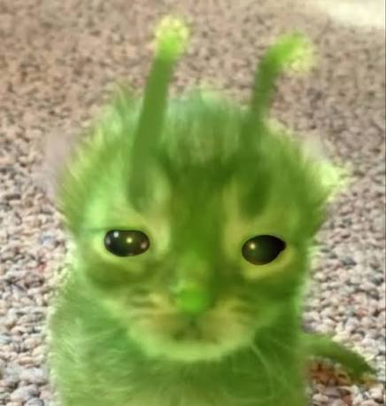 echoistrans's tweet photo. lost another round of zeebzoob... this is some glorpshit man... its not fair... its not fair... https://t.co/kCWoz7e3AC