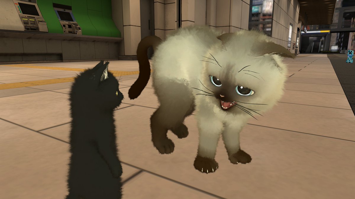 00_tuki's tweet photo. #にゃにゃまる3D　子猫改変かわちい https://t.co/VWfROLCq8Y