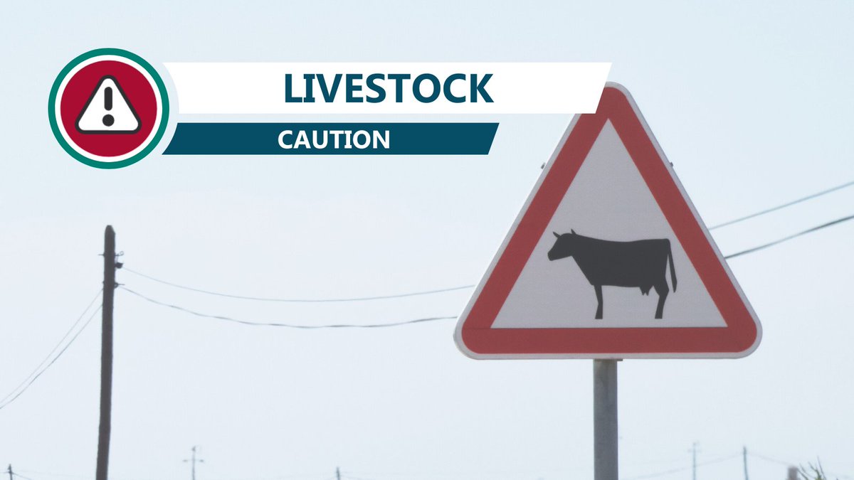 WA_Roads's tweet photo. Albany Hwy EXERCISE EXTREME CAUTION at Millbrook Road, Green Valley due to livestock.
https://t.co/eq5XAoQSUu #waroads https://t.co/ECb0DPmbb2