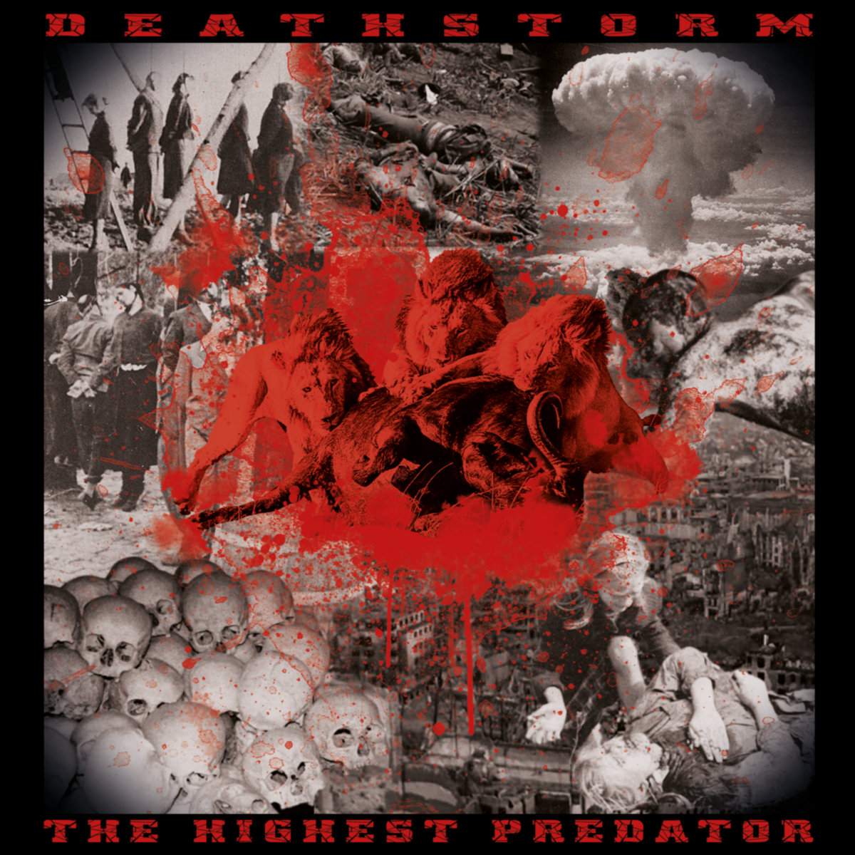 polish_metal's tweet photo. 🔥PREMIERE🔥
🤘LISTEN: https://t.co/um4d9gi11V 🤘
Band: Deathstorm
Album: The Highest Predator (EP)
Release date: 2026.06.17
Label: Animate Records
Genre: Death Metal
Themes: Religious philosophy
#deathstorm #deathmetal #polishdeathmetal #metal #metalmusic #polishmetal https://t.co/k8YszltG3U