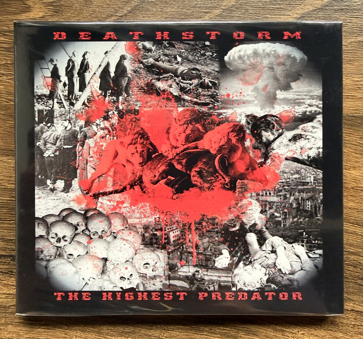 polish_metal's tweet photo. 🔥PREMIERE🔥
🤘LISTEN: https://t.co/um4d9gi11V 🤘
Band: Deathstorm
Album: The Highest Predator (EP)
Release date: 2026.06.17
Label: Animate Records
Genre: Death Metal
Themes: Religious philosophy
#deathstorm #deathmetal #polishdeathmetal #metal #metalmusic #polishmetal https://t.co/D8mLLtpkJJ