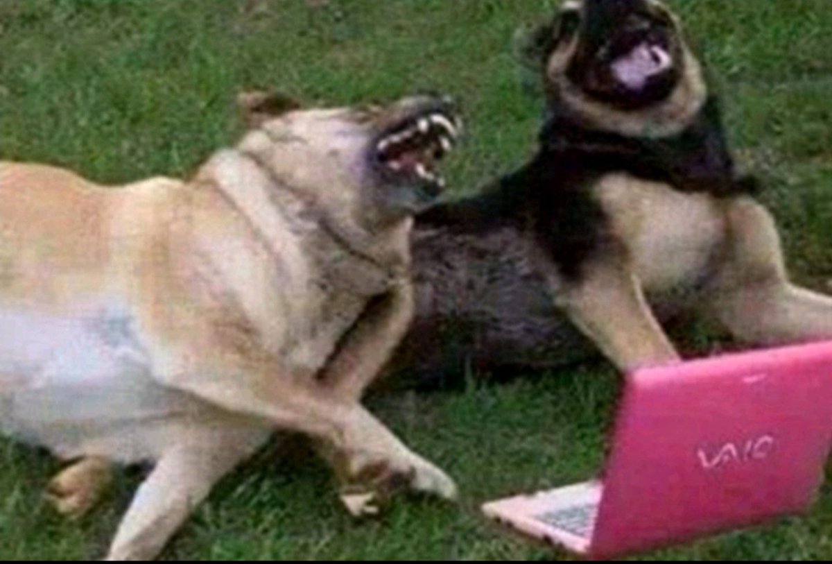 HaickFred's tweet photo. sou a primeira pessoa da minha linhagem a ler "fui bloqueada até no LinkedIn" https://t.co/ZAk9EpxtJW