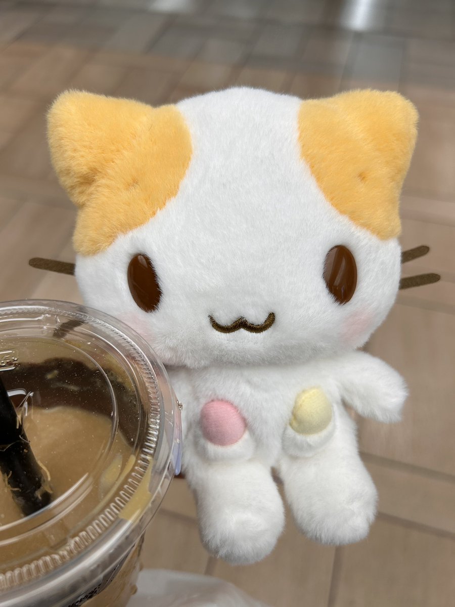 にゃんもな (@uxvqc) / Posts / X