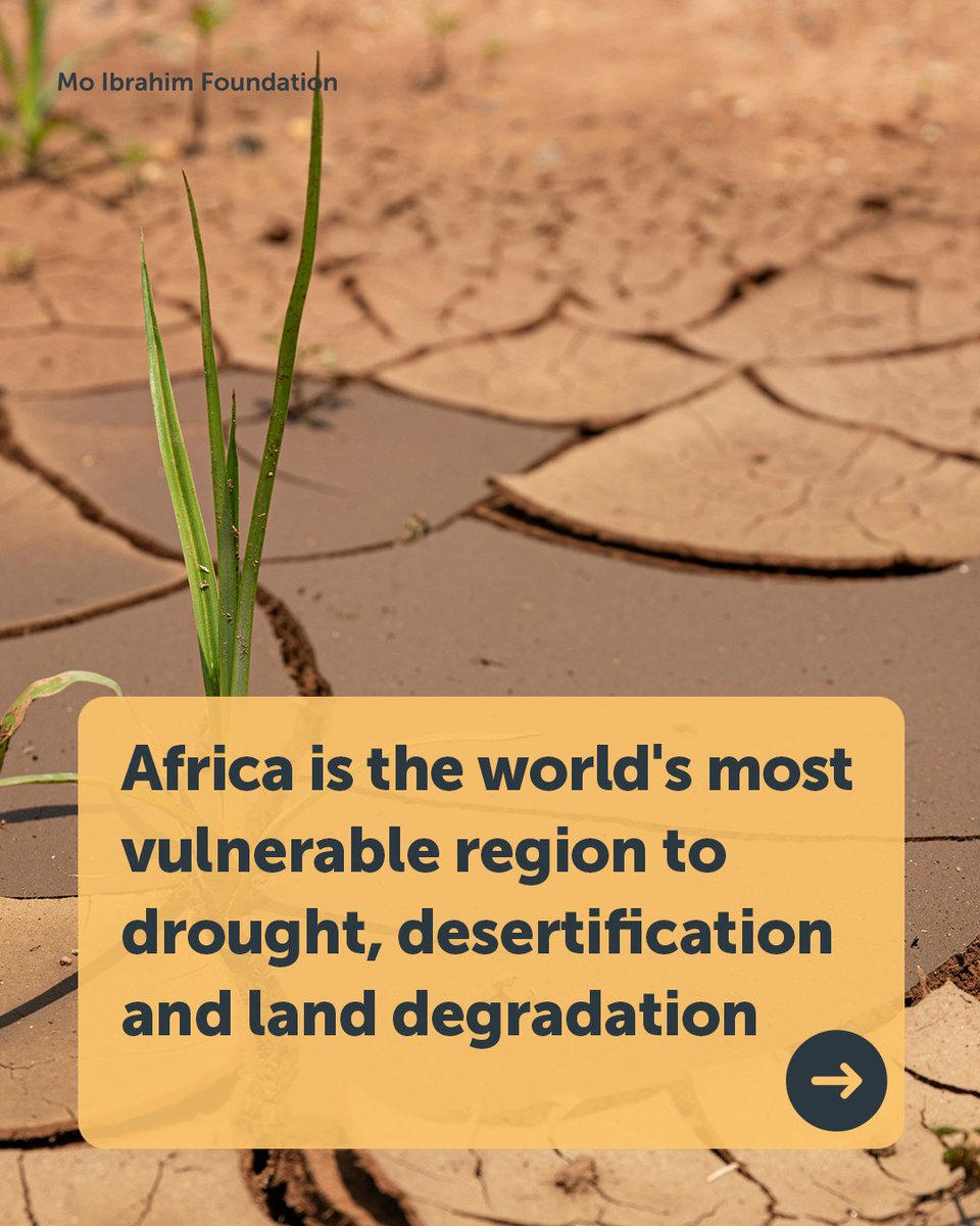 Mo_IbrahimFdn's tweet photo. 🌍 What does climate change mean for food security in Africa?

On #WorldDayToCombatDesertification explore our data on drought and desertification across Africa 👇

📘 https://t.co/akSwtB98Qw https://t.co/8sbUBYelJ1