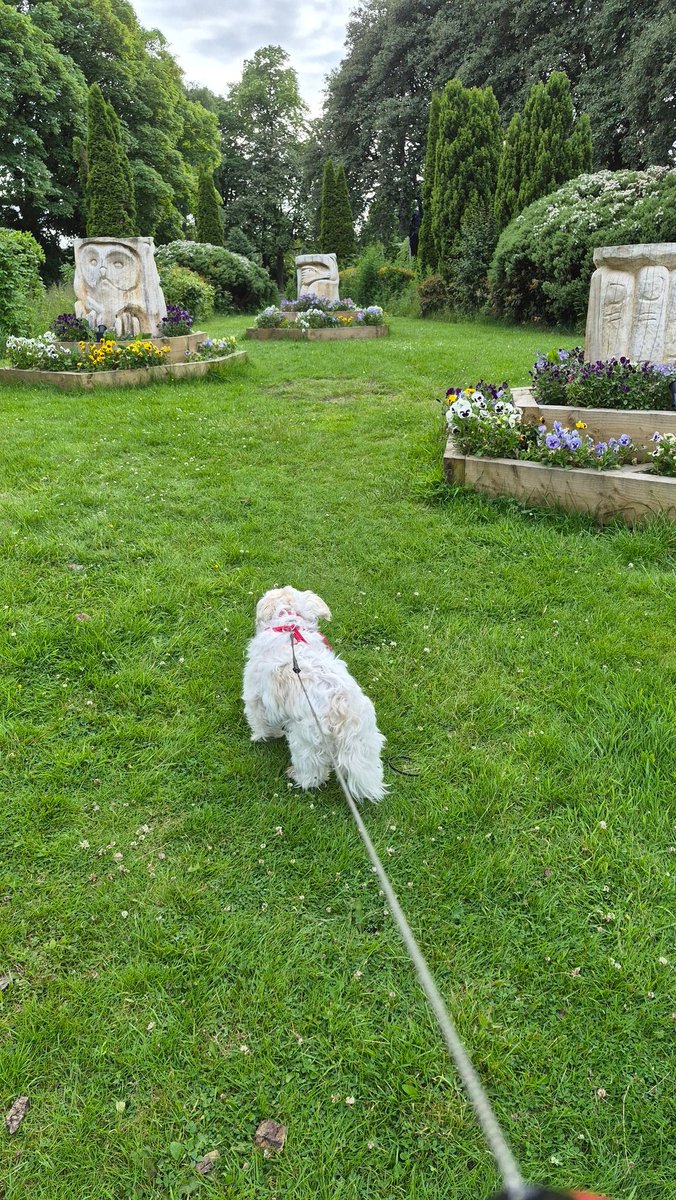 weeflem73's tweet photo. Out a wee walk to see the tree carvings 🐶🪵 I swear it's warmer now than it was an hour ago 🌞 hopefully this is the weather changing to a proper summer 😎🍻❤️🤍💙🇬🇧 https://t.co/C5JJwAZS5Z