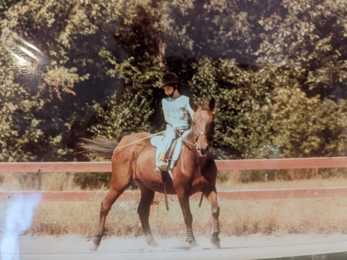 ErinOMalley1313's tweet photo. Little Erin on big Guy. What a guy he was. One of my first mounts. West Point, NY. Summer 1980. #horses #throwback #westpoint #summer https://t.co/TIUCKsRD5w