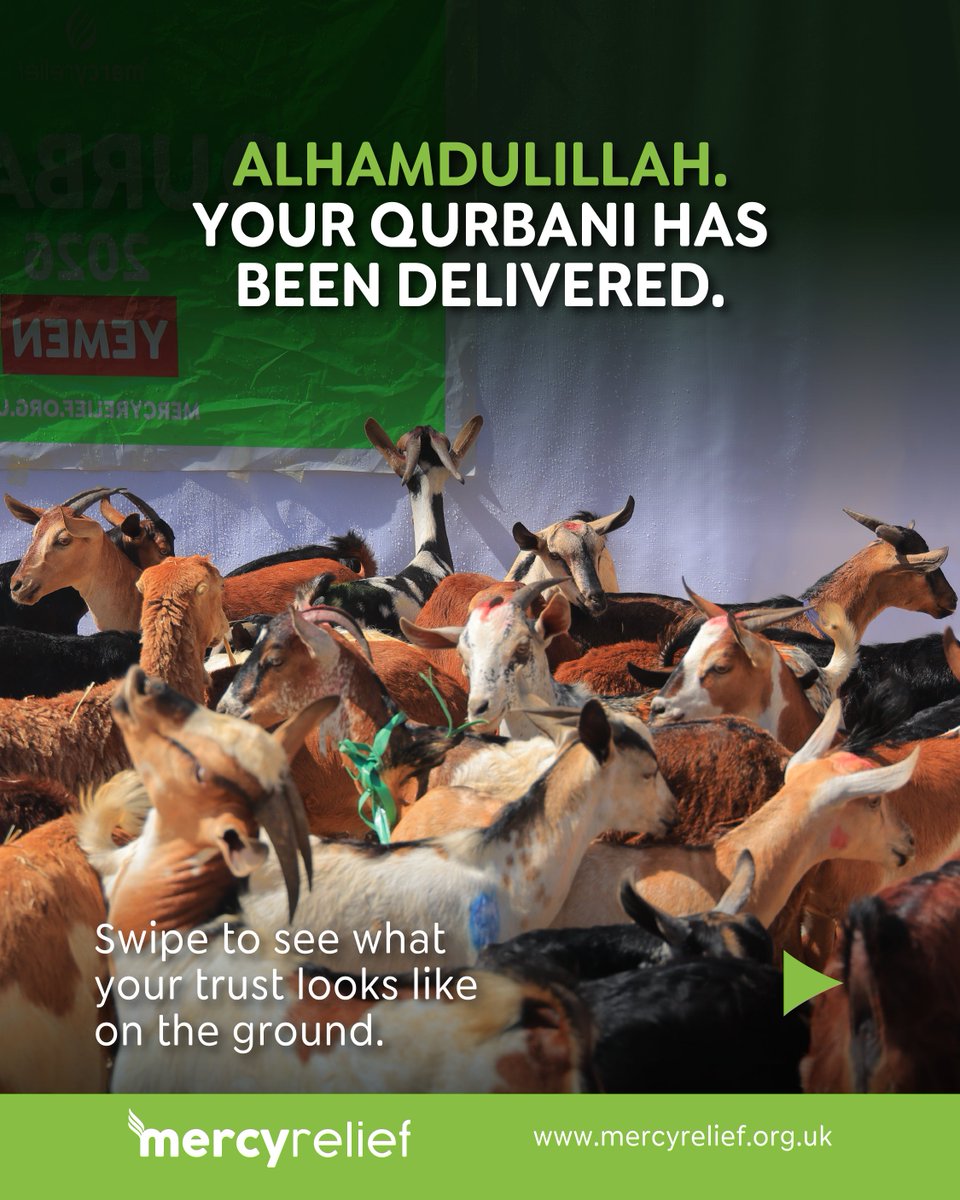 MercyReliefUK's tweet photo. Alhamdulillah, your Qurbani was delivered! Because of your trust and generosity, fresh Eid meat reached vulnerable families on the ground. Thank you for answering the call. May Allah accept it from you all. 🤍 #Qurbani2026 #MercyRelief #Alhamdulillah https://t.co/eCBKwB1Uvs