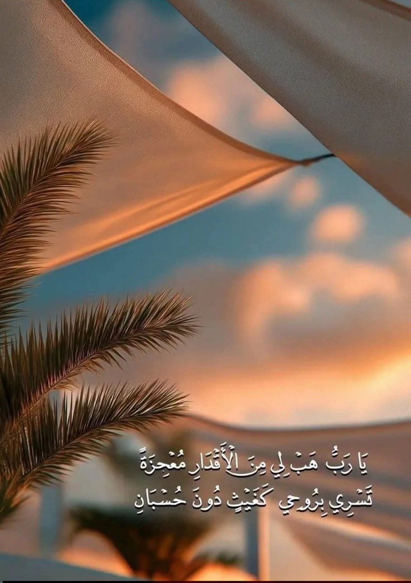 رهف tweet media