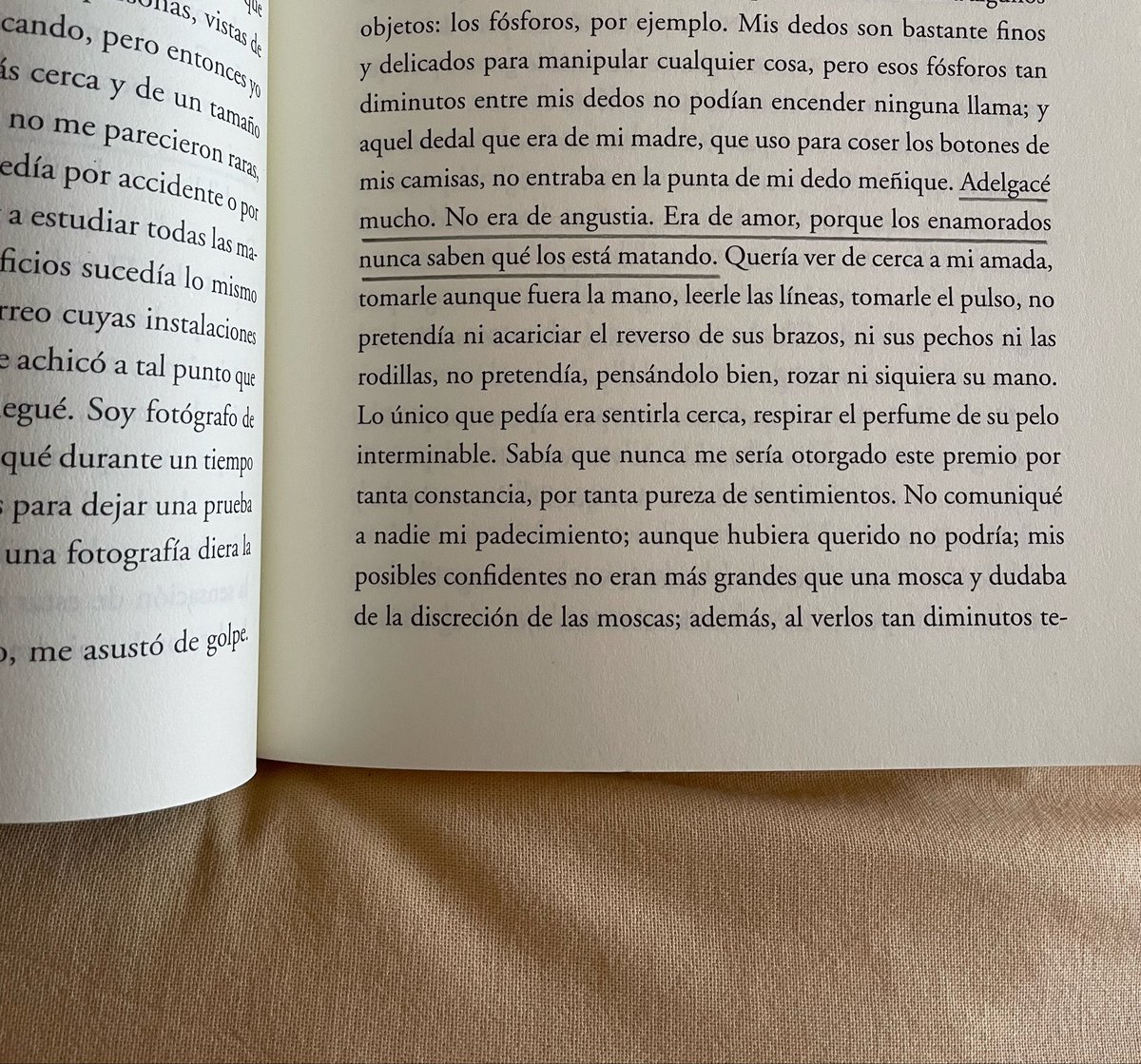 mmelchula's tweet photo. Silvina Ocampo. https://t.co/uc6o0hPg5n