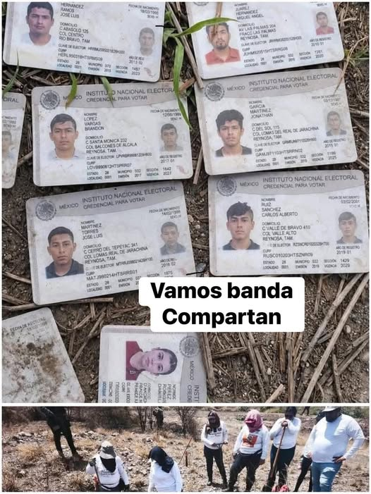 lunadeandromeda's tweet photo. ME CONOCES!?
Con el corazón en la mano pedimos a todos ayudar a difundir estas credenciales que fueron encontradas en un campo por las madres buscadoras.
Algunas vencieron hace ya algunos años pero otras tienen fecha de este año..
Miren sus rostros..
Para algunas madres que han perdido a sus hijos.. estas identificaciones serán TODO lo que encontrarán ya que en el lugar se encontraron f0s4s con rest0s completamente calcinados..
Sabemos que f!sc4l!4 muchas veces NO ENTREGA PERTENENCIAS..
Así que esta es la manera de avisarle a las familias que ENCONTRAMOS A LOS SUYOS..