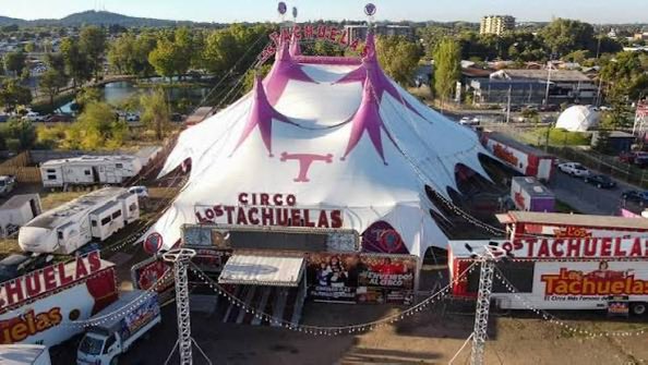 presxmapxche's tweet photo. @BenjaminSaul14 @Yitaneta @entremarycielo JAJAJAJ ooh ya caché entonces, tu mega pega que te tiene super rico es https://t.co/v28voPGcXv