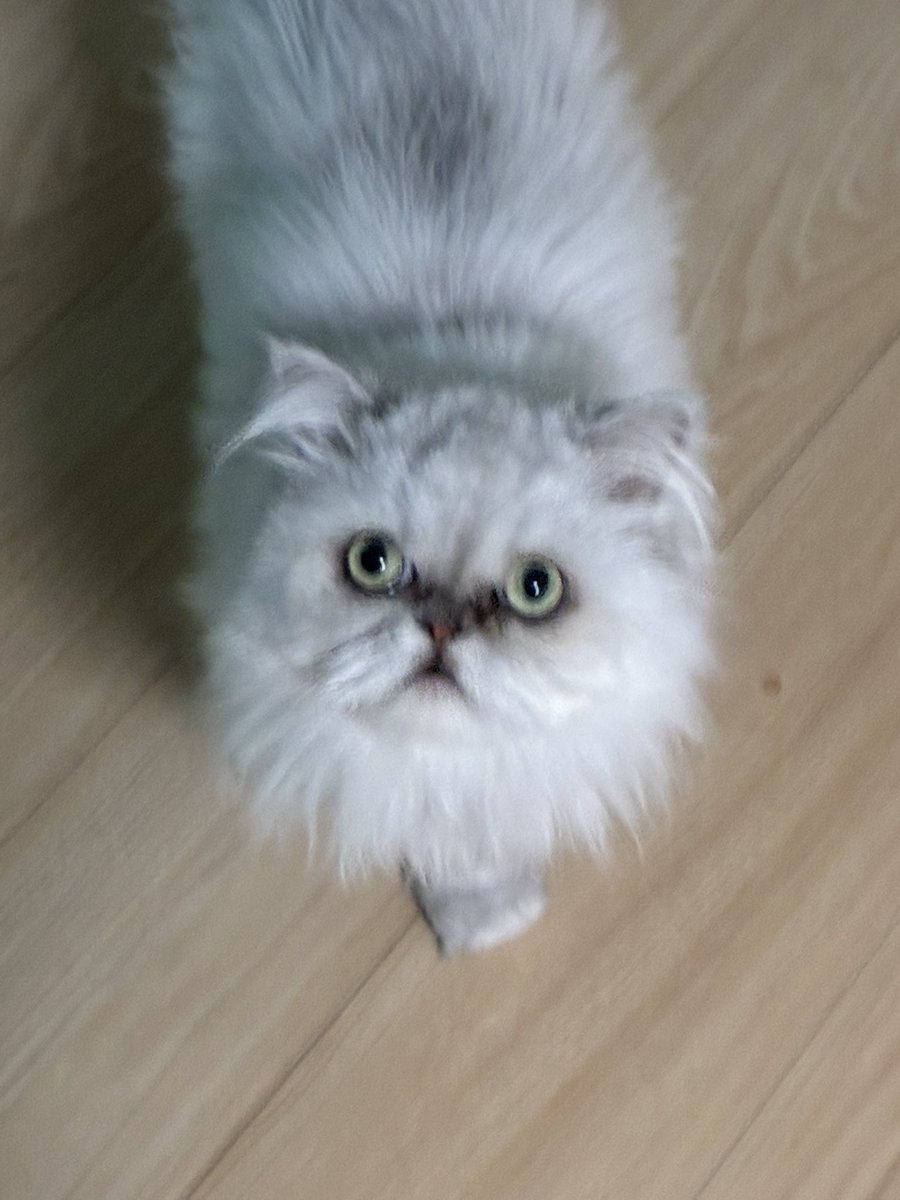 ebimomonaka's tweet photo. おはよう
今日も出勤気をつけてな
#おはよう https://t.co/xDI27Q0eKe