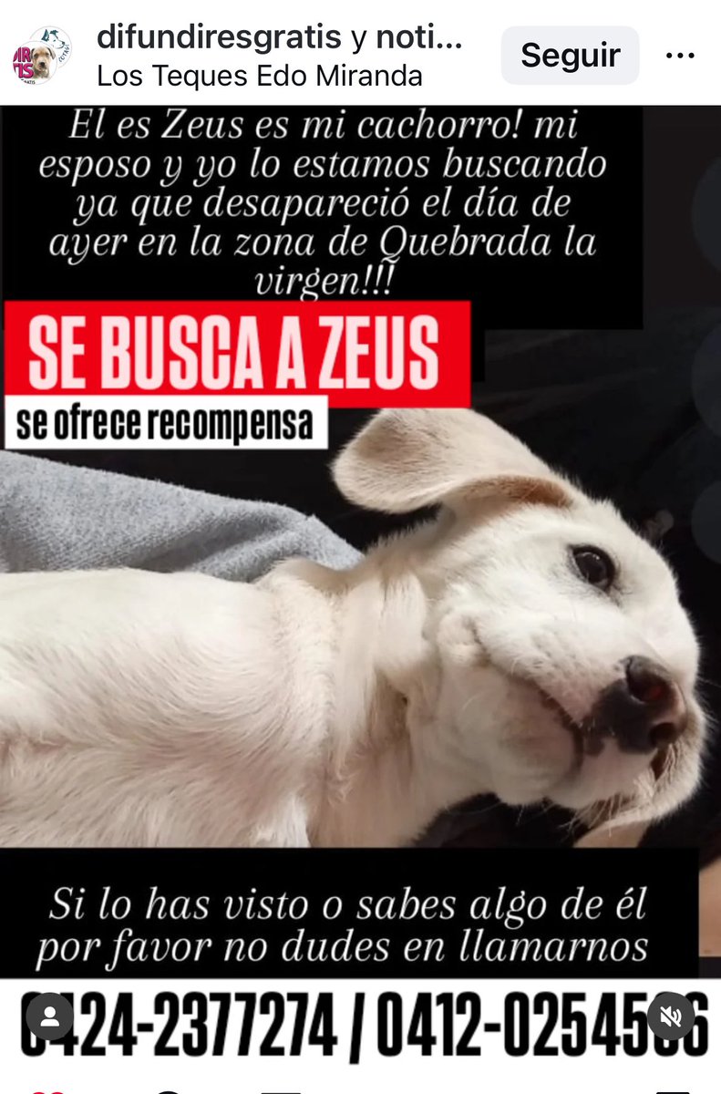 CarmenZR04's tweet photo. https://t.co/zL6txAHwpa