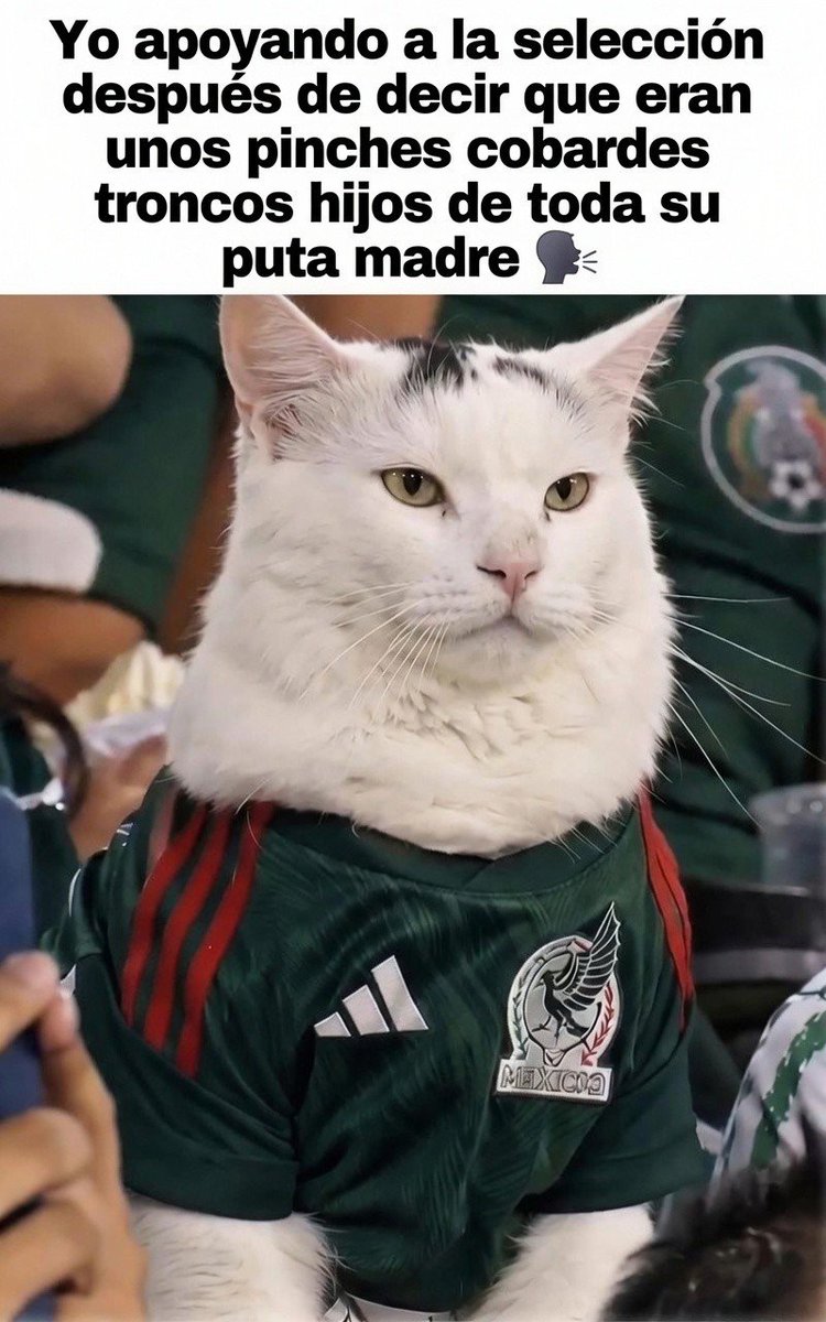 mixedberrieskop's tweet photo. Vamos México! 🇲🇽⚽ https://t.co/NBmGbnAJS4