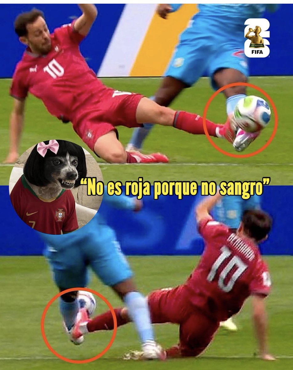 MarceloCarroni tweet media