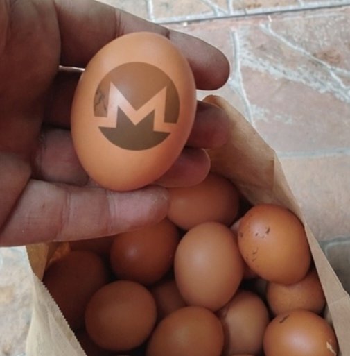 NitroEggs tweet media