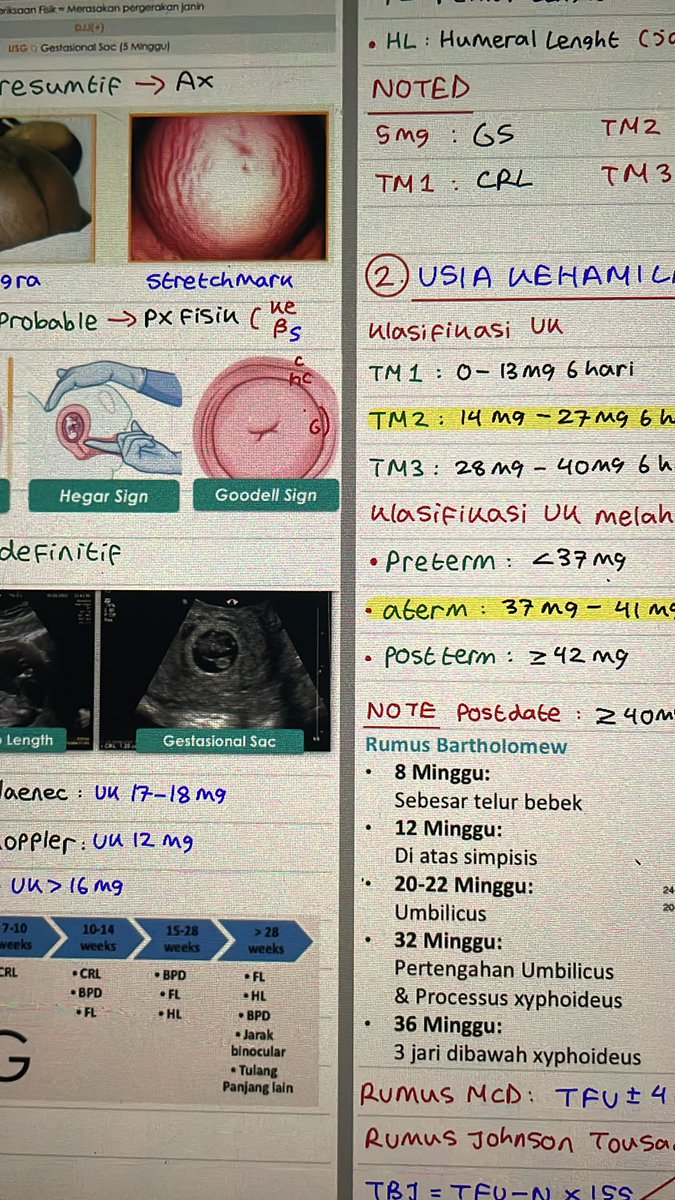obsidianpaws's tweet photo. GAWAT, MAKIN LAMA MAKIN SUKA OBGYN??!!!!! SERU BGT TERNYATA🤯 https://t.co/zEZpkPl1aX