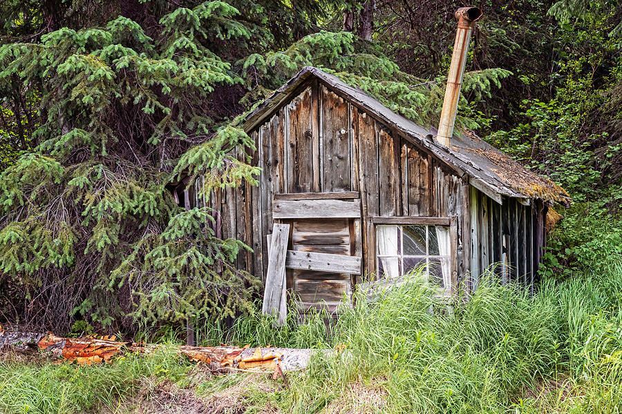 joancarroll's tweet photo. Abandoned Building Alaska! https://t.co/MzErnFcWNp #abandoned #weathered #rundown #distressed #building #house #shed #alaska #giftideas @joancarroll https://t.co/2W3gVpk8Jh