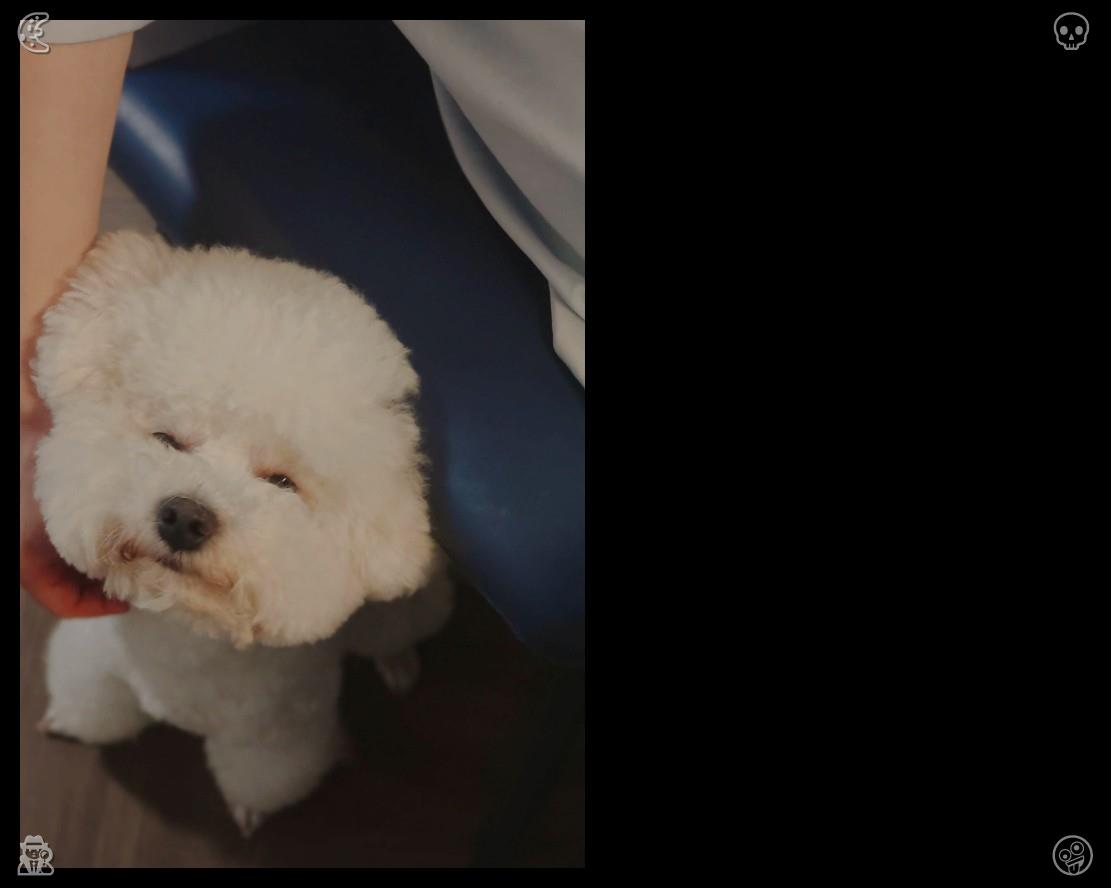laransuleiman's tweet photo. Lila 将笔记本收进帆布包，在清晨阳光的照耀下，走上了那条安静的街道，前往她的第一家珍珠奶茶店。店招牌涂着柔和的粉彩色，写着“Boba Haven”，空气中飘散着淡淡的茉莉香气。 https://t.co/W4bQhILT5q