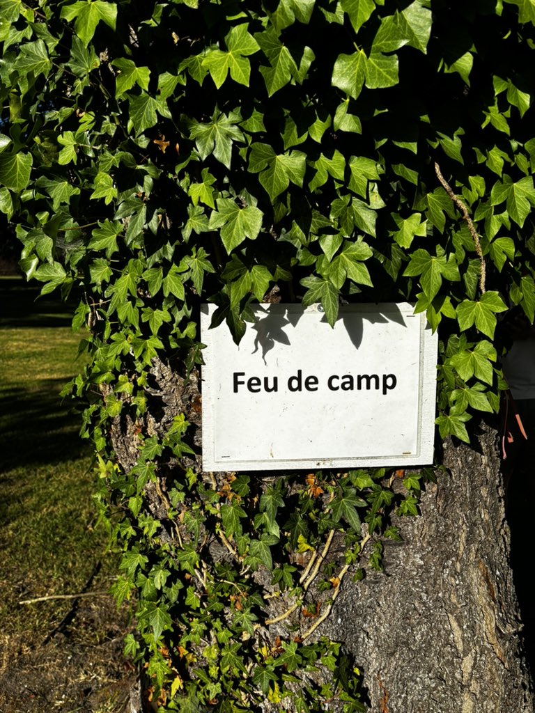 cvalemfl's tweet photo. 🇫🇷 France Trip 🇫🇷 Back at the château, our pupils tackled a blind trail, put their survival skills to the test, bravely sampled frog’s legs and escargot 🐸🐌, and rounded off the evening with a campfire under the French sky 🔥✨ https://t.co/VB5D2IdqSj