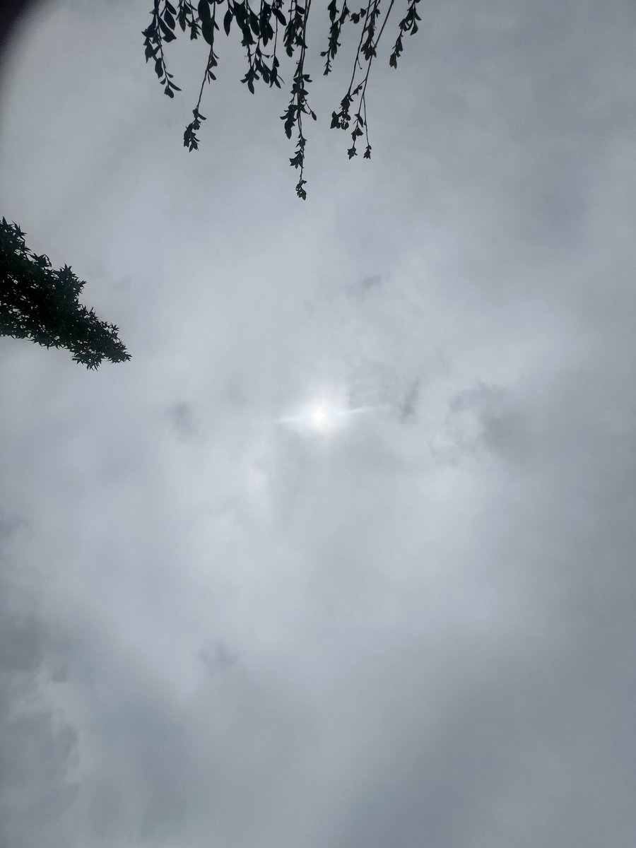 Born4_JESUS's tweet photo. Another hazy day. #louisianasky #banGeoengineering 

Who thinks they will actually enforce the bill 8.1.26 a signed - that passed. Should be interesting to see if they actually enforce it and if they just let them keep spraying. 
@Sen_BigMikeFesi @SpeakerJohnson @ValarieHHodges https://t.co/0eVvE65wAQ