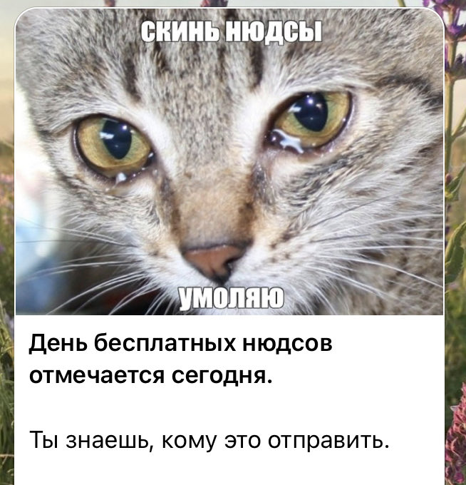 lllichi's tweet photo. Антон просто праздник отмечал ребята https://t.co/h00klZEKay