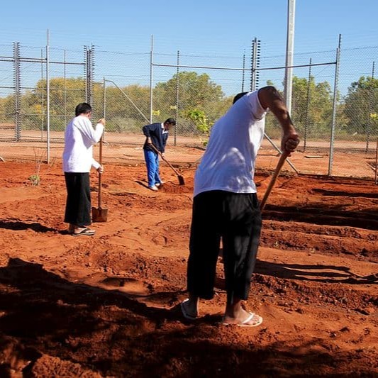 factpostnews's tweet photo. ICE has capped the amount of money detainees can earn in "voluntary" work programs at just $1 per day. https://t.co/EnZxPbkHrQ