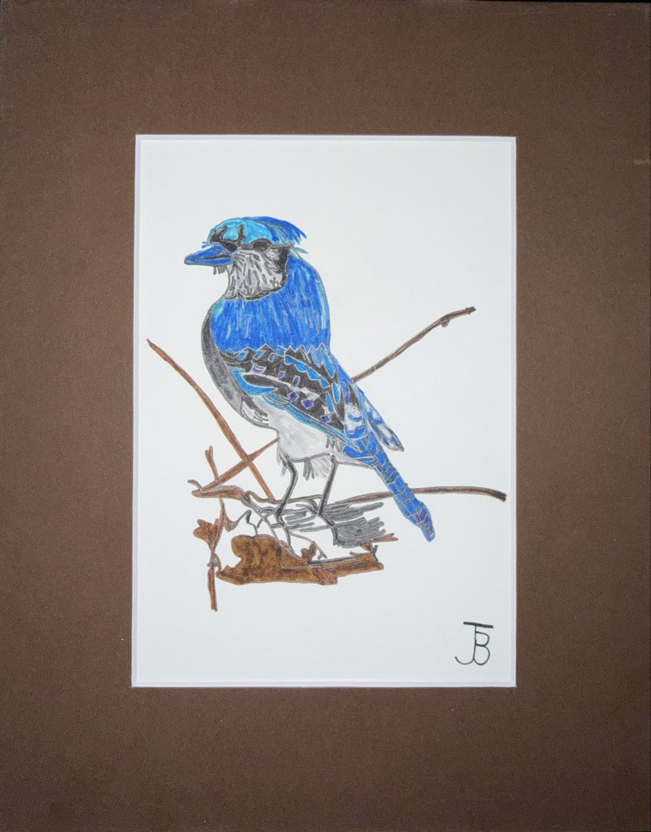 artfullyjoe's tweet photo. https://t.co/1IklmbHA20
New! Ink on cardstock, matted in brown and ready to gift or frame! #autisticartist #epilepsyartist #bluejay #purcellvilleartist #virginiaartist https://t.co/8z3JvYjSK7