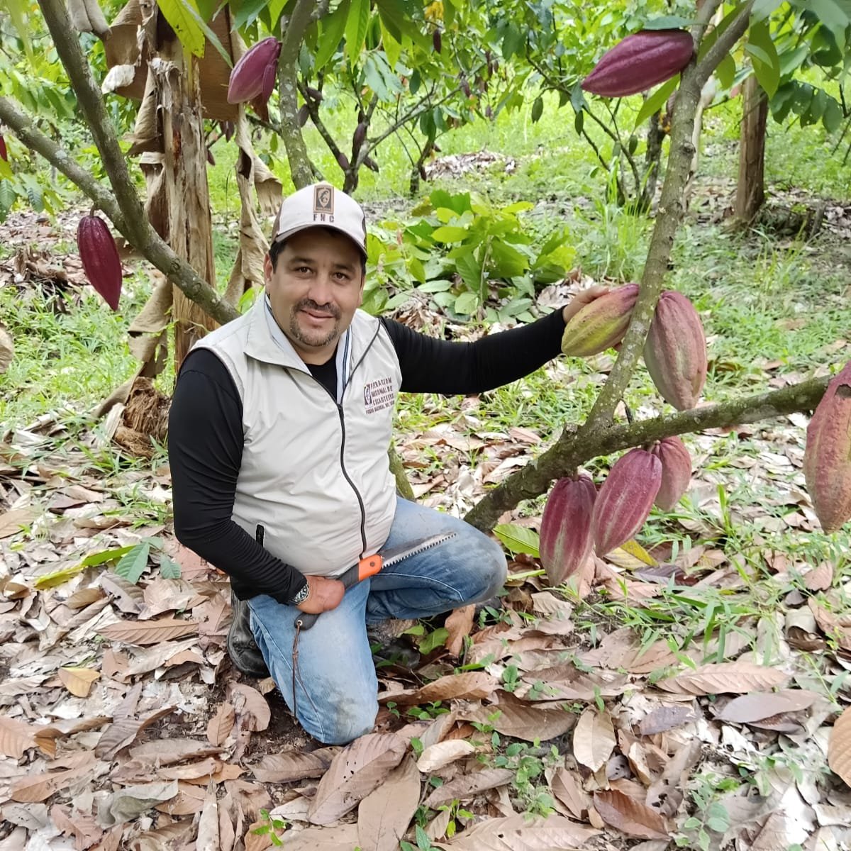 fedecacao's tweet photo. #DiarioDeUnExtensionista🌄Desde Santander hasta el sur de Bolívar, Mauricio Escamilla ha dedicado más de una década a acompañar y capacitar cacaocultores. Su historia refleja el compromiso, la vocación de servicio y el amor por el campo que impulsan la labor de Fedecacao. 👨🏽‍🌾🤎 https://t.co/cZ6RbWyxYO