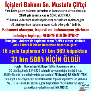 Nihal Aydın tweet media