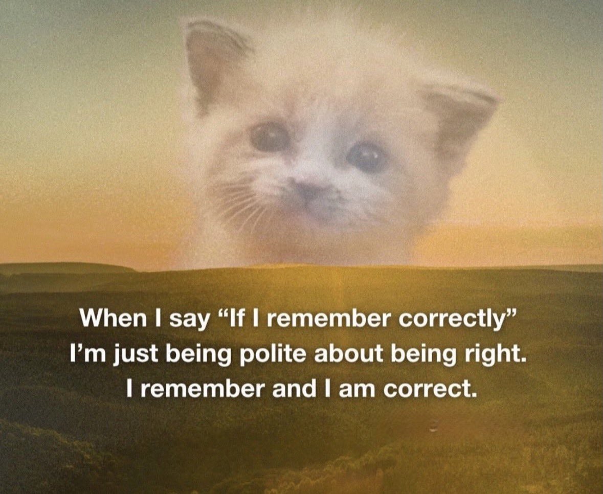 LiterallyMeCats tweet media