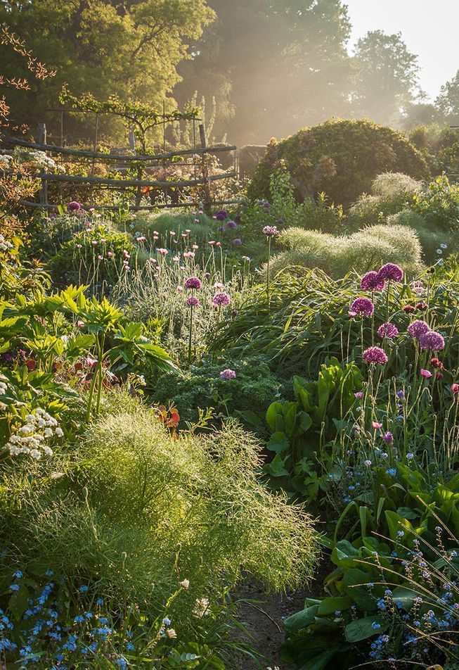 aestheticpost's tweet photo. Where the flowers conspired with the sun and turned everything into quiet magic. https://t.co/xf7awhxSeb
