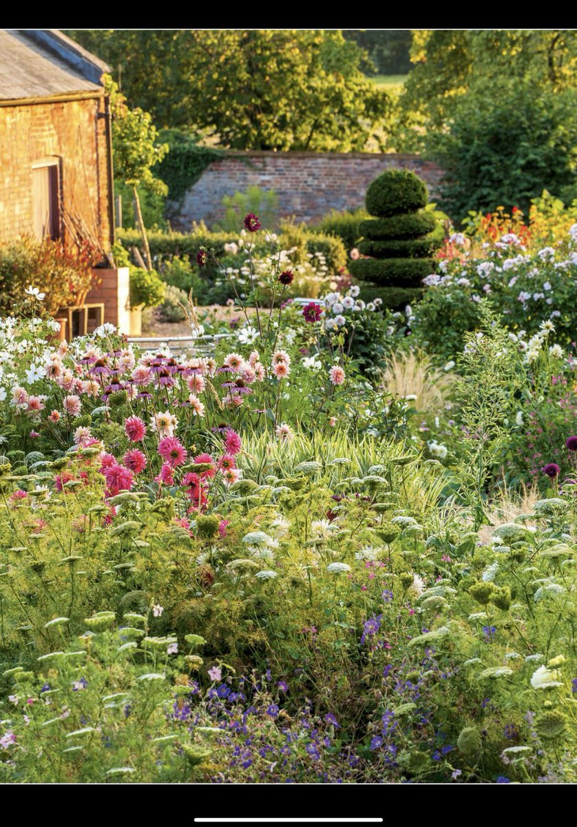 aestheticpost's tweet photo. Where the flowers conspired with the sun and turned everything into quiet magic. https://t.co/xf7awhxSeb