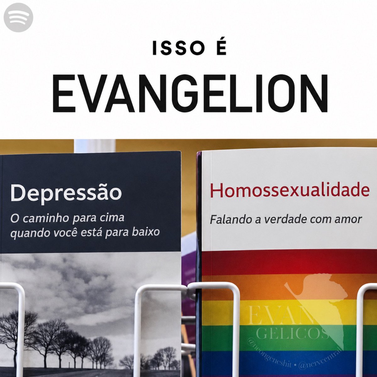 Evangelicos tweet media